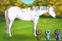 Horse Color:Black Pearl Sabino