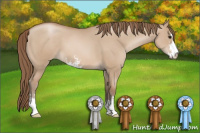 Horse Color:Grullo Pearl Sabino 