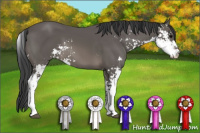 Horse Color:Black Sabino