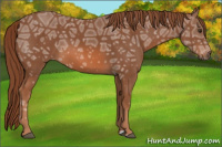 Horse Color:Chestnut Ice 