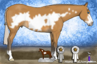 Horse Color:Silver Buckskin Frame 