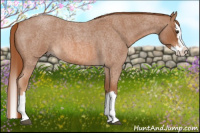 Horse Color:Red Roan Splash 