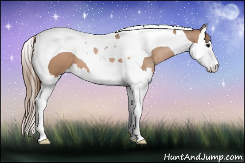 Horse Color: Black Pearl Splash Tobiano 