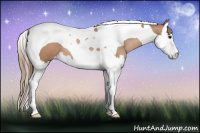 Horse Color:Black Pearl Splash Tobiano 