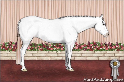 Horse Color: White Spotted Bay Roan Dun Frame Blanket 