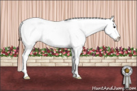 Horse Color:White Spotted Bay Roan Dun Frame Appaloosa 