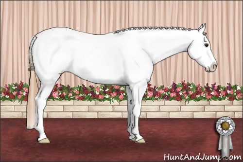 Horse Color: Red Roan Near Leopard Rabicano 