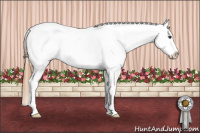 Horse Color:Red Roan Appaloosa Rabicano 