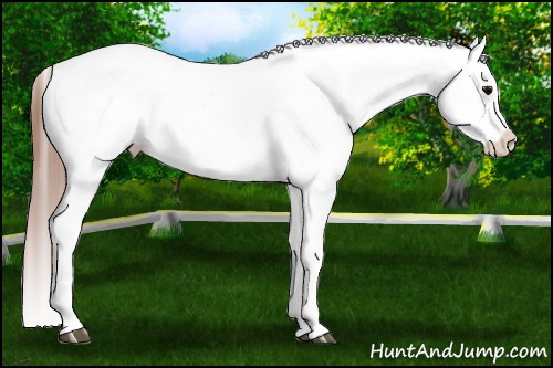 Horse Color: Brown Roan Splash Frame Blanket 