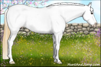 Horse Color:Buckskin Tobiano Appaloosa 