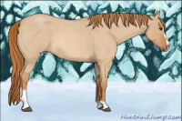 Horse Color:Red Dun Roan Sabino