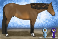 Horse Color:Gray Buckskin