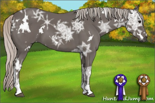 Horse Color: White Spotted Silver Brown Ice Tobiano 