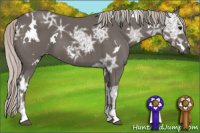 Horse Color:White Spotted Silver Brown Ice Tobiano 