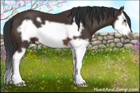 Horse Color:Brown Splash Frame 