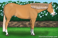 Horse Color:Chocolate Palomino Splash
