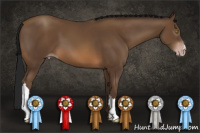 Horse Color:Gray Sable Champagne 