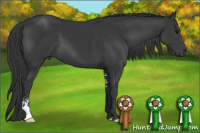 Horse Color:Black Sabino