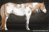 Horse Color:White Spotted Liver Chestnut Pearl Frame 
