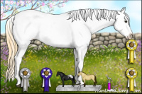 Horse Color:Buckskin Blanket 