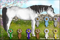 Horse Color:White Spotted Buckskin 
