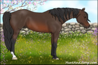 Horse Color:Brown 