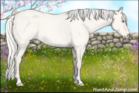 Horse Color:Silver Perlino Roan Dun Tobiano