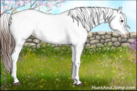 Horse Color:Bay Roan Varnish 