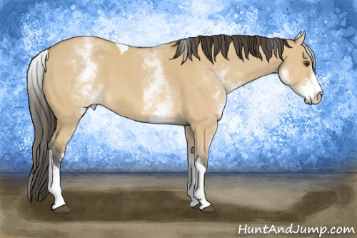 Horse Color: White Spotted Buckskin Dun Tobiano 