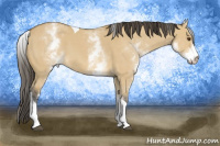 Horse Color:White Spotted Buckskin Dun Tobiano