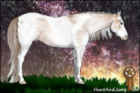 Horse Color:White Spotted Black Pearl Splash Tobiano 