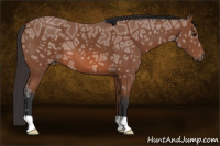 Horse Color:Bay Ice 