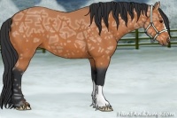 Horse Color:Bay Ice 