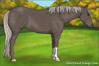 Horse Color:Silver Brown 