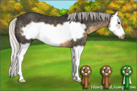 Horse Color:Silver Smoky Black Splash Frame 
