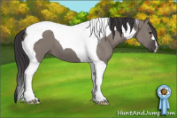Horse Color:Buckskin Dun Tobiano