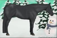Horse Color:Brown 