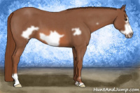 Horse Color:Red Roan Frame 