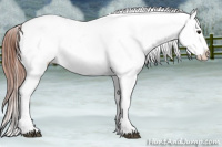 Horse Color:Blue Roan Appaloosa