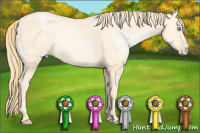 Horse Color:White Spotted Buckskin Pearl 