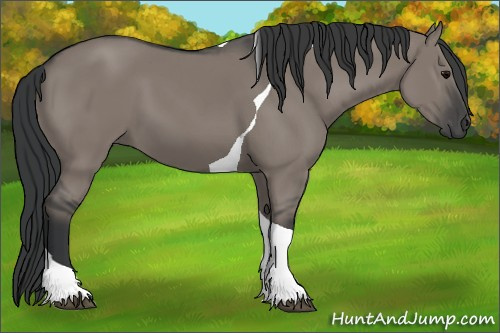 Horse Color: Grullo Tobiano 
