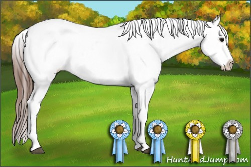 Horse Color: Bay Splash Tobiano Blanket Rabicano 