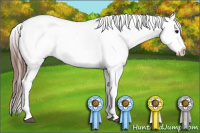 Horse Color:Bay Splash Tobiano Appaloosa Rabicano
