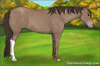 Horse Color:Classic Champagne 