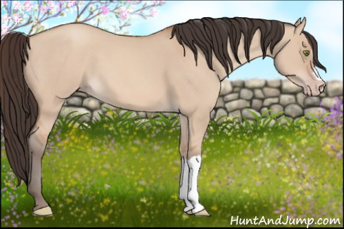 Horse Color: Amber Champagne Dun 