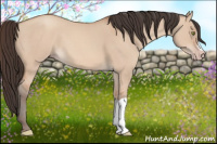 Horse Color:Amber Champagne Dun 