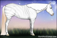 Horse Color:Buckskin Pearl Varnish Rabicano 
