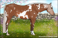 Horse Color:White Spotted Silver Bay 