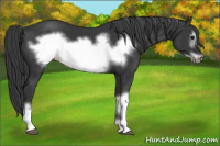Horse Color:Brown Frame 