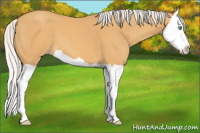 Horse Color:Silver Sable Cream Champagne Splash 
